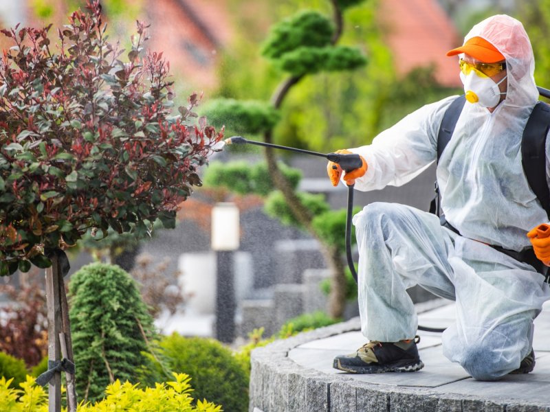 Şehzadeler Haşere İlaçlama